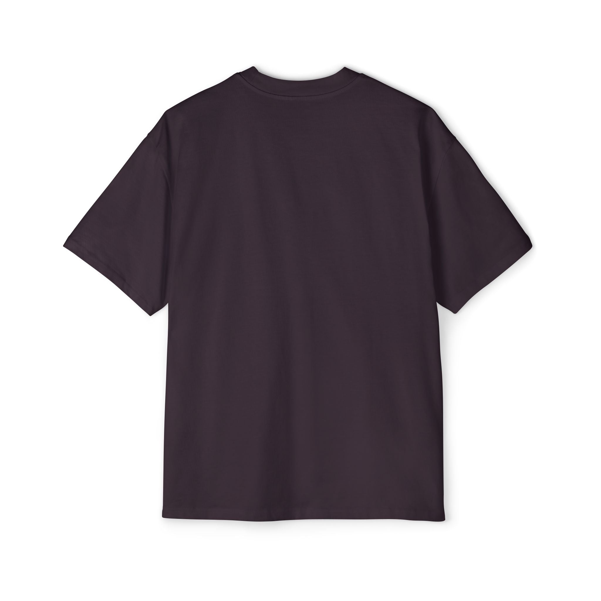 Salt and Light Heavy Oversized Tee