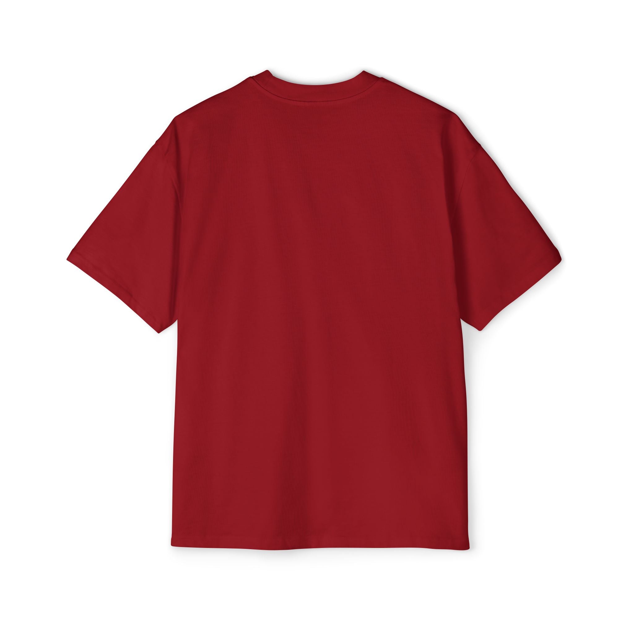 Salt and Light Heavy Oversized Tee